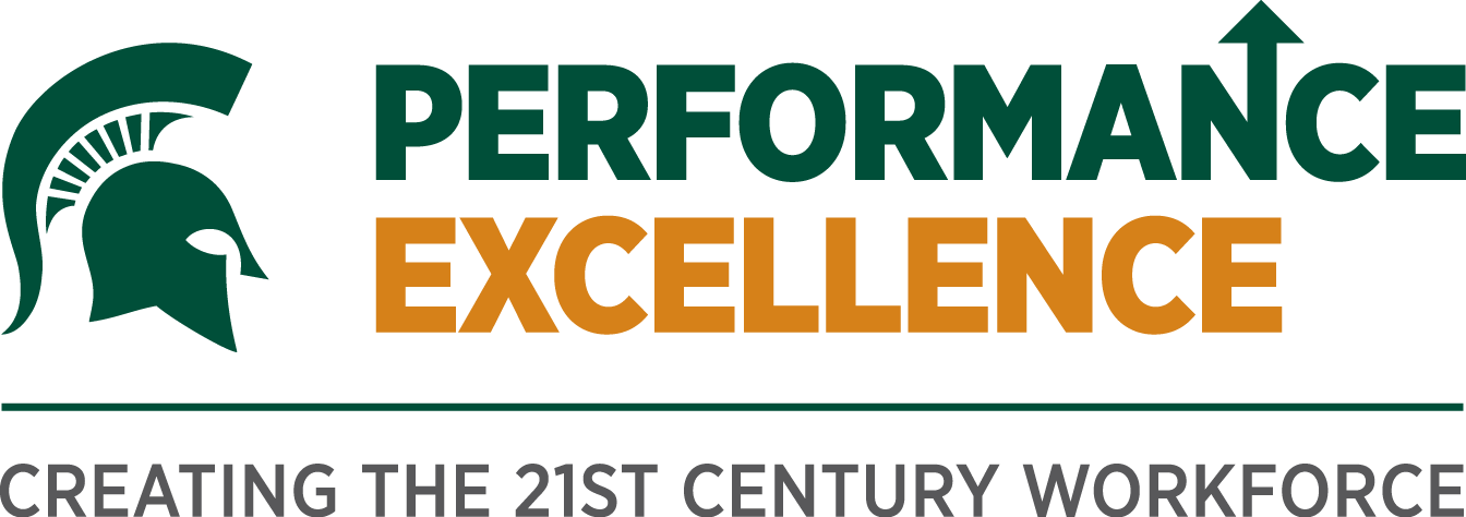 Performance Excellence Process