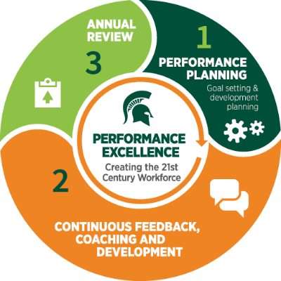 Performance Excellence Process Graphic